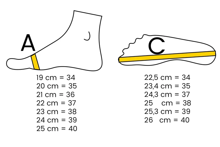 How To Measure Your Feet For Tap Shoes
